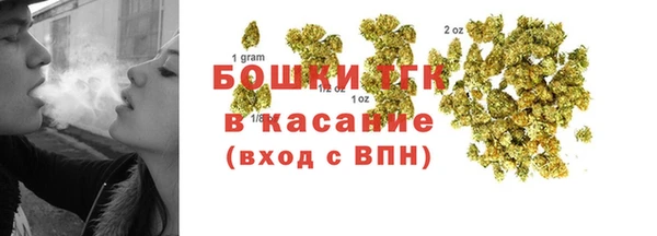 ECSTASY Богородицк